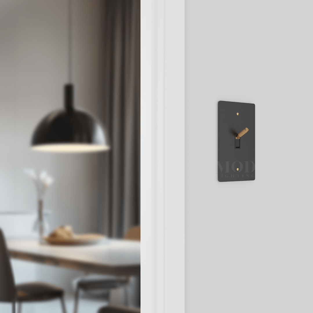 Modern Toggle Switch