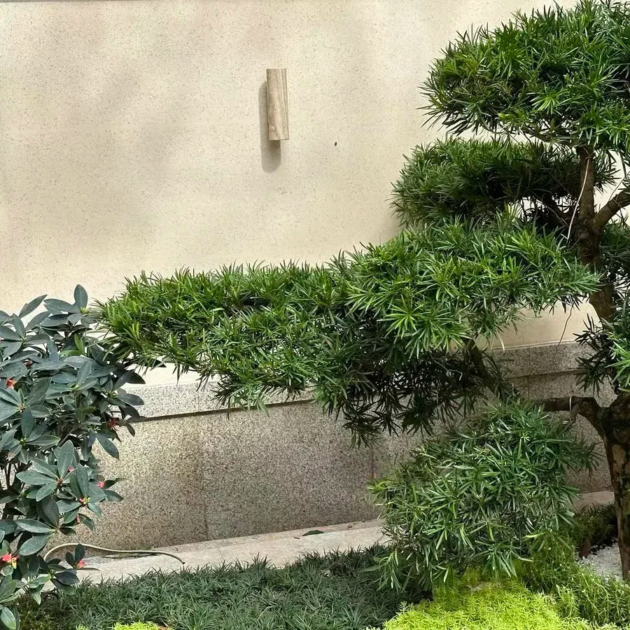 Modern Background Indoor/Outdoor Stone Sconce Lighting